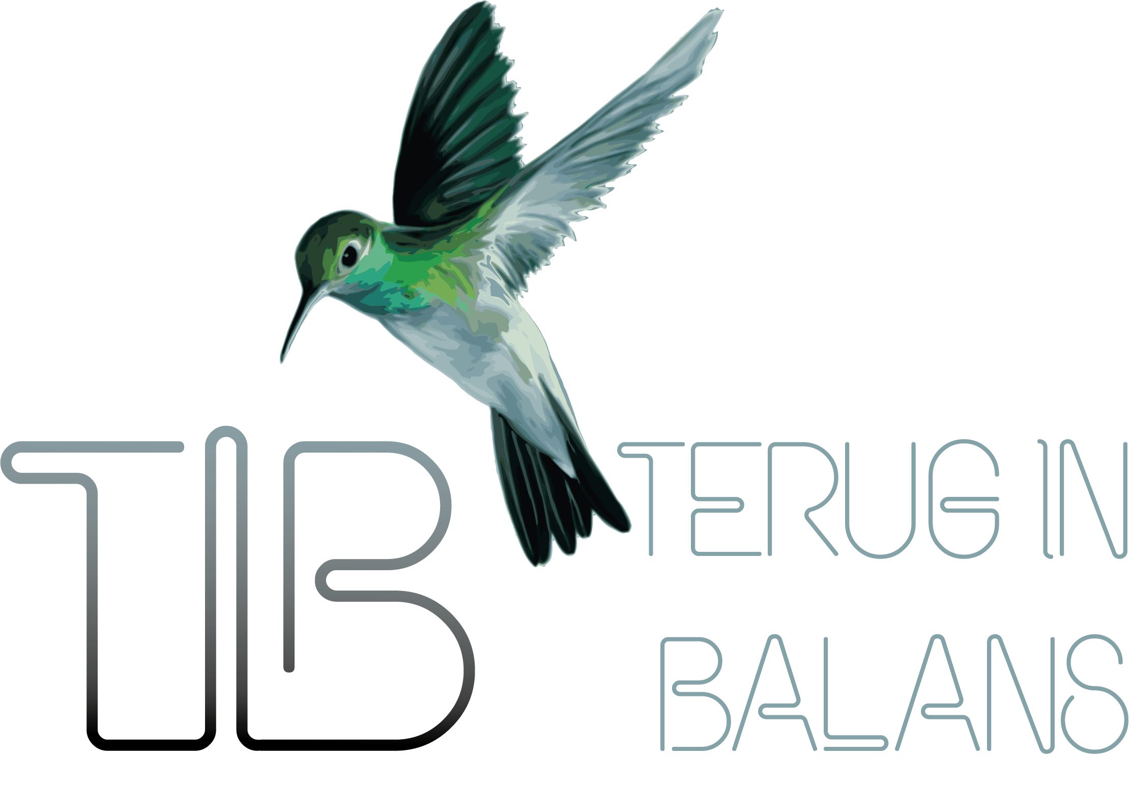 TIB Terug in Balans